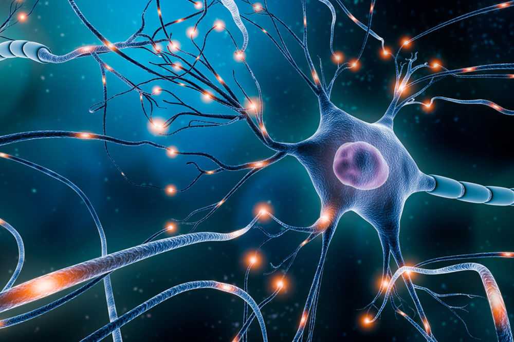 Neuronal network with electrical activity of neuron cells 3D rendering illustration
